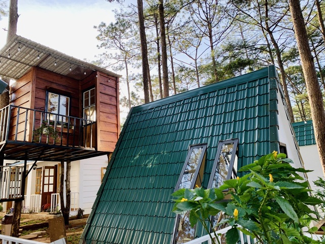 Đóng 3 cửa hàng ở Hà Nội, cặp đôi “bỏ phố, lên rừng” làm nhà đẹp như mơ - 11 Đóng 3 cửa hàng ở Hà Nội, cặp đôi “bỏ phố, lên rừng” làm nhà đẹp như mơ - 11