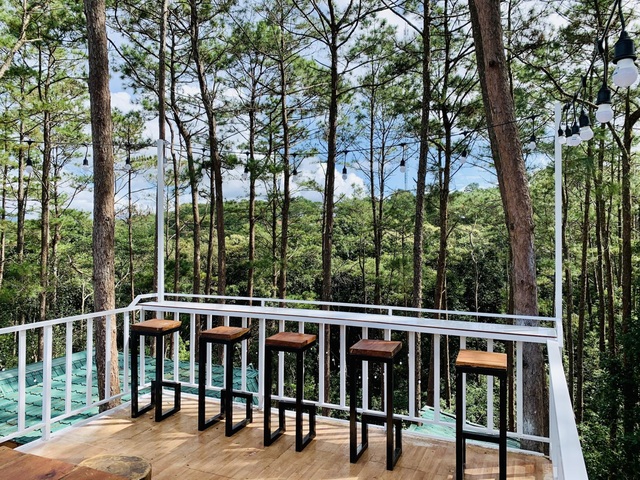 Đóng 3 cửa hàng ở Hà Nội, cặp đôi “bỏ phố, lên rừng” làm nhà đẹp như mơ - 14 Đóng 3 cửa hàng ở Hà Nội, cặp đôi “bỏ phố, lên rừng” làm nhà đẹp như mơ - 14