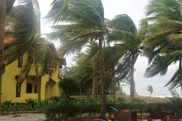 Sóng lớn uy hiếp bờ, resort trăm tỷ ở Hội An có nguy cơ bị nuốt chửng - 5 Sóng lớn uy hiếp bờ, resort trăm tỷ ở Hội An có nguy cơ bị nuốt chửng - 5
