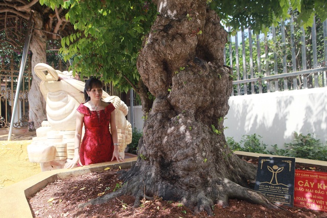 Bộ sưu tập khế cổ độc nhất vô nhị, đại gia trả chục tỷ đồng không bán - 6 Bộ sưu tập khế cổ độc nhất vô nhị, đại gia trả chục tỷ đồng không bán - 6