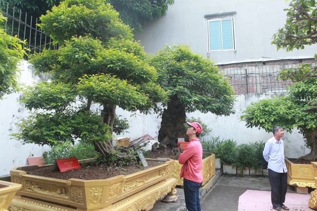 Bộ sưu tập khế cổ độc nhất vô nhị, đại gia trả chục tỷ đồng không bán - 9 Bộ sưu tập khế cổ độc nhất vô nhị, đại gia trả chục tỷ đồng không bán - 9