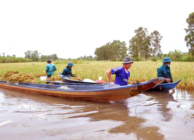 Cà Mau: Hạn chế liên hoan, vui chơi... để ứng phó, khắc phục thiên tai - 2 Cà Mau: Hạn chế liên hoan, vui chơi... để ứng phó, khắc phục thiên tai - 2