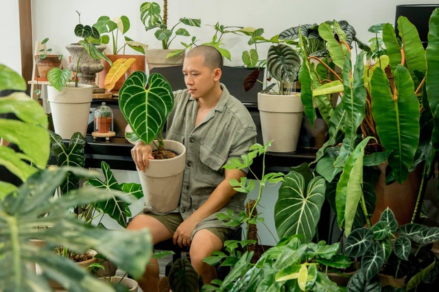 Chàng trai Sài Gòn chi 300 triệu đồng trang trí nhà bằng 50 loại cây độc lạ - 10 Chàng trai Sài Gòn chi 300 triệu đồng trang trí nhà bằng 50 loại cây độc lạ - 10