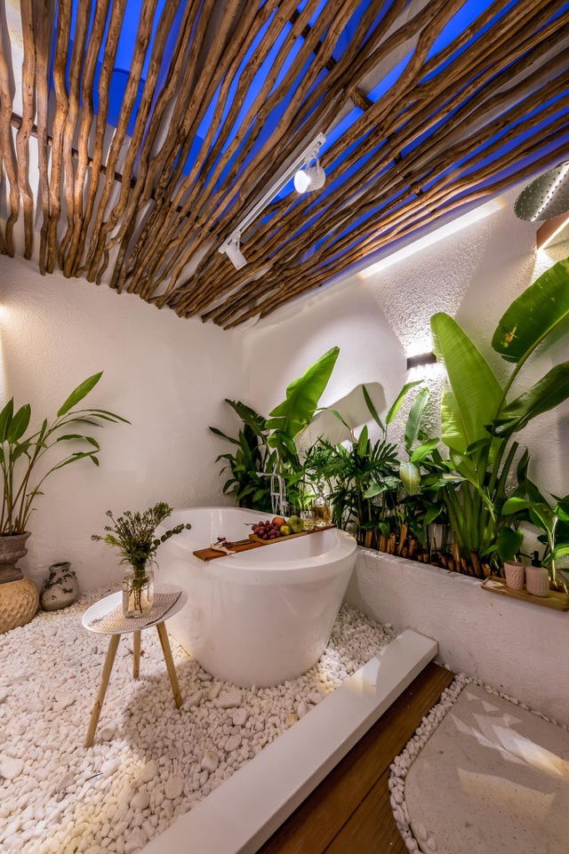 Chàng trai Sài Gòn chi 300 triệu đồng trang trí nhà bằng 50 loại cây độc lạ - 9 Chàng trai Sài Gòn chi 300 triệu đồng trang trí nhà bằng 50 loại cây độc lạ - 9