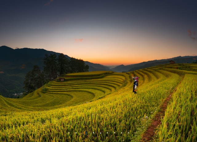 Marvel at the movie-like beautiful galaxy in Mu Cang Chai - 1