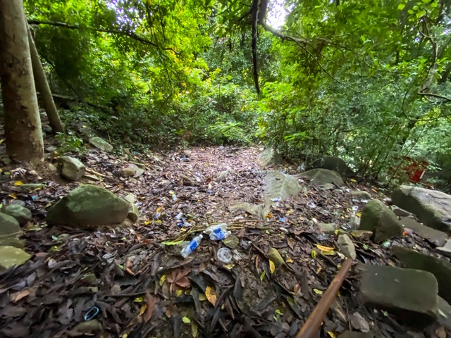 Mountain climbing journey combined with scavenging on Ba Den mountain, the highest in the Southeast - 9