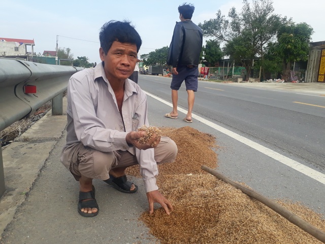 Quang Binh: Thousands of households were left empty-handed after the 