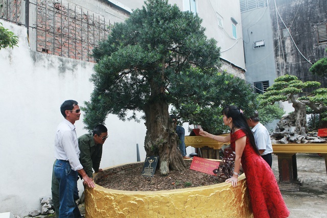 Những tay chơi khét tiếng làng cây cảnh: Kẻ bán nhà, người từ bỏ siêu xe - 1 Những tay chơi khét tiếng làng cây cảnh: Kẻ bán nhà, người từ bỏ siêu xe - 1