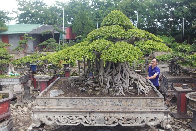Những tay chơi khét tiếng làng cây cảnh: Kẻ bán nhà, người từ bỏ siêu xe - 3 Những tay chơi khét tiếng làng cây cảnh: Kẻ bán nhà, người từ bỏ siêu xe - 3