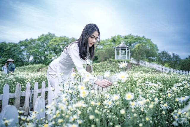 Lost in the field of beautiful chrysanthemum 3,000m2 in Hanoi - 5