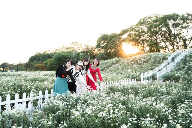 Lost in the field of beautiful chrysanthemum 3,000m2 in Hanoi - 2