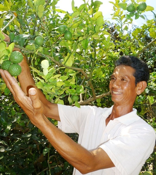 Trồng thứ tưởng đã biến mất ở Việt Nam, nhàn tênh mà hốt tiền ầm ầm - 5 Trồng thứ tưởng đã biến mất ở Việt Nam, nhàn tênh mà hốt tiền ầm ầm - 5