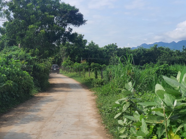Ninh Thuận khánh thành nhà máy điện mặt trời ngàn tỷ - 2 Ninh Thuận khánh thành nhà máy điện mặt trời ngàn tỷ - 2