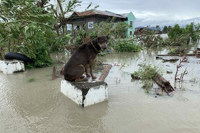 Bão Molave càn quét Philippines, ít nhất 13 người mất tích - 2 Bão Molave càn quét Philippines, ít nhất 13 người mất tích - 2