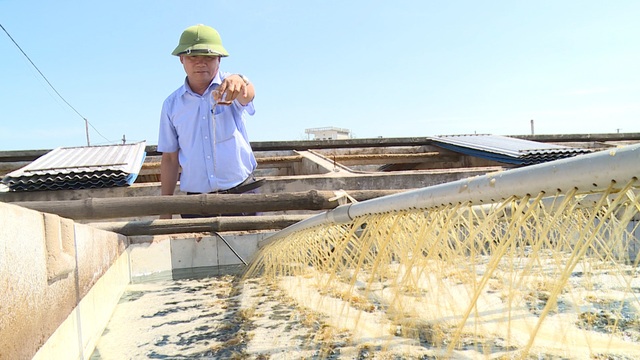 Vì sao nước mắm truyền thống bị lép vế trên thị trường? - 2 Vì sao nước mắm truyền thống bị lép vế trên thị trường? - 2