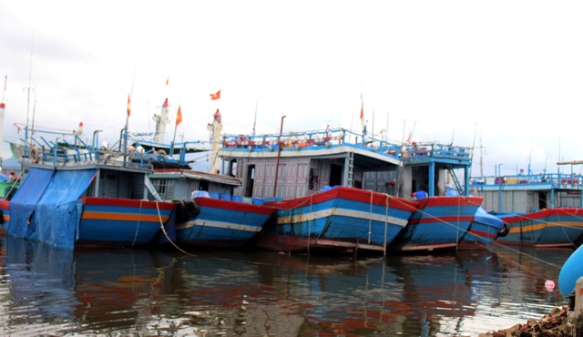 Người dân Quảng Nam hối hả chằng chống nhà “đón” bão - 13 Người dân Quảng Nam hối hả chằng chống nhà “đón” bão - 13