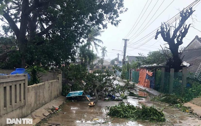 Đảo Lý Sơn tan hoang nhà cửa, tàu thuyền sau khi bão số 9 quét qua - 5 Đảo Lý Sơn tan hoang nhà cửa, tàu thuyền sau khi bão số 9 quét qua - 5