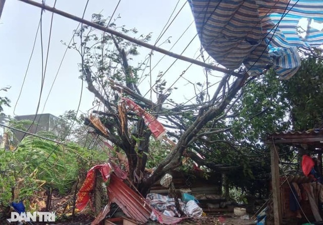 Đảo Lý Sơn tan hoang nhà cửa, tàu thuyền sau khi bão số 9 quét qua - 6 Đảo Lý Sơn tan hoang nhà cửa, tàu thuyền sau khi bão số 9 quét qua - 6