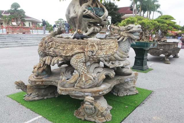 “Báu vật” nhà Phật, lần đầu xuất hiện khiến giới chơi cây choáng ngợp - 5 “Báu vật” nhà Phật, lần đầu xuất hiện khiến giới chơi cây choáng ngợp - 5