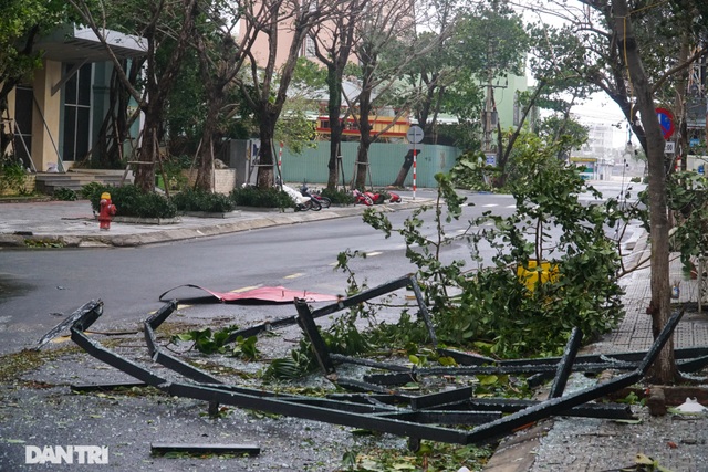 Đường phố Đà Nẵng ngổn ngang, cây xanh ngã đổ la liệt sau bão - 6 Đường phố Đà Nẵng ngổn ngang, cây xanh ngã đổ la liệt sau bão - 6