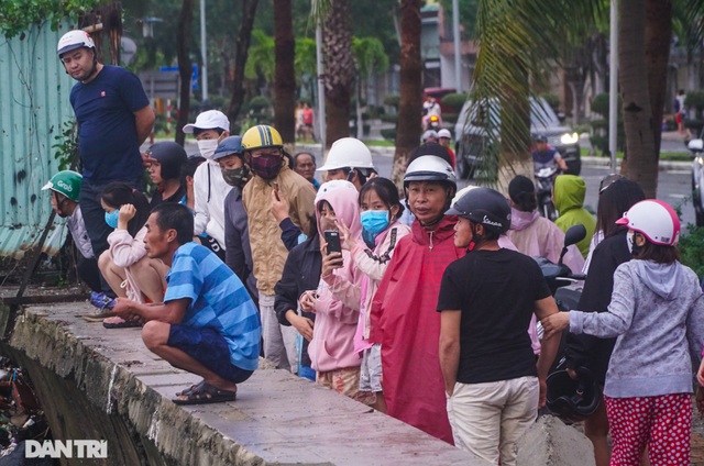 Đường phố Đà Nẵng ngổn ngang, cây xanh ngã đổ la liệt sau bão - 13 Đường phố Đà Nẵng ngổn ngang, cây xanh ngã đổ la liệt sau bão - 13