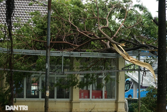 Đà Nẵng: Người dân phá rào vượt cầu Rồng trong cơn bão tố - 8 Đà Nẵng: Người dân phá rào vượt cầu Rồng trong cơn bão tố - 8