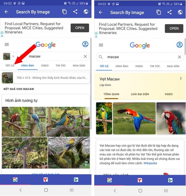 Mẹo tra cứu thông tin bằng hình ảnh dễ dàng trên smartphone - 3