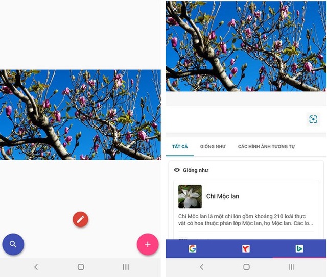 Mẹo tra cứu thông tin bằng hình ảnh dễ dàng trên smartphone - 6