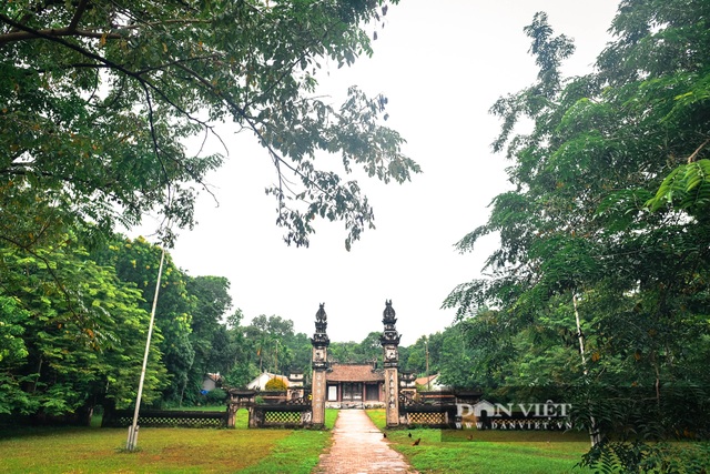 Chiêm ngưỡng cây sưa trăm tuổi ở Hà Nội, trả 60 tỷ đồng không bán - 12 Chiêm ngưỡng cây sưa trăm tuổi ở Hà Nội, trả 60 tỷ đồng không bán - 12