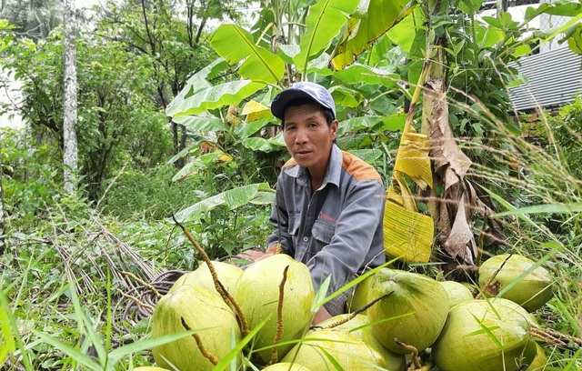 Nhọc nhằn nghề “ăn cơm dưới đất làm việc trên trời”  - 4