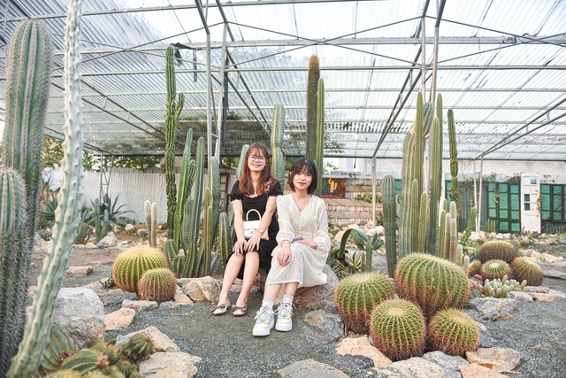 Lost in the cactus garden - the new check-in coordinate of Hanoi youth - 7