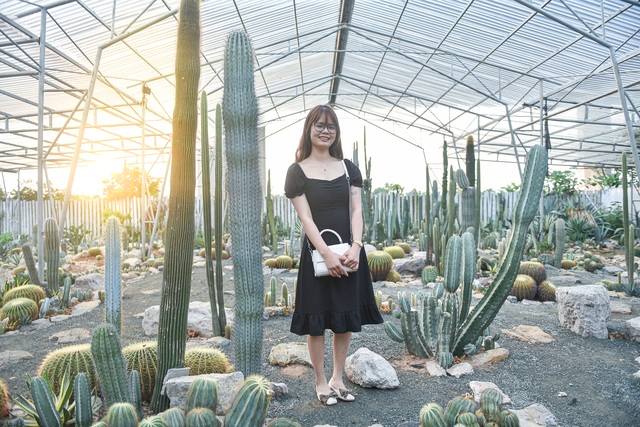 Lost in the cactus garden - the new check-in coordinate of Hanoi youth - 10