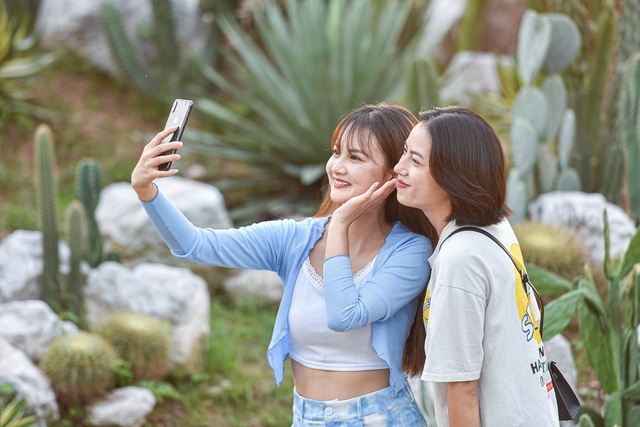 Lost in the cactus garden - the new check-in coordinate of Hanoi youth - 13