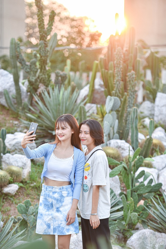 Lost in the cactus garden - the new check-in coordinate of Hanoi youth - 6