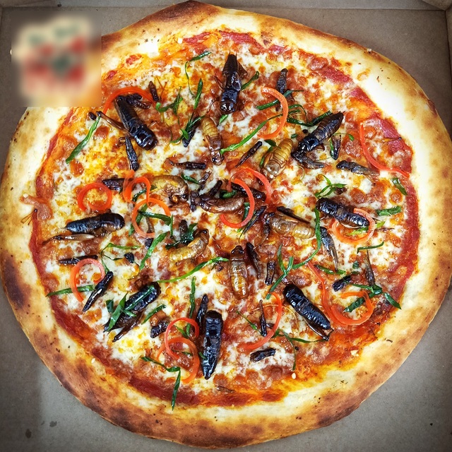 Toát mồ hôi nếm thử pizza lúc nhúc côn trùng ở Hà Nội - 2 Toát mồ hôi nếm thử pizza lúc nhúc côn trùng ở Hà Nội - 2