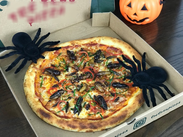 Toát mồ hôi nếm thử pizza lúc nhúc côn trùng ở Hà Nội - 3 Toát mồ hôi nếm thử pizza lúc nhúc côn trùng ở Hà Nội - 3