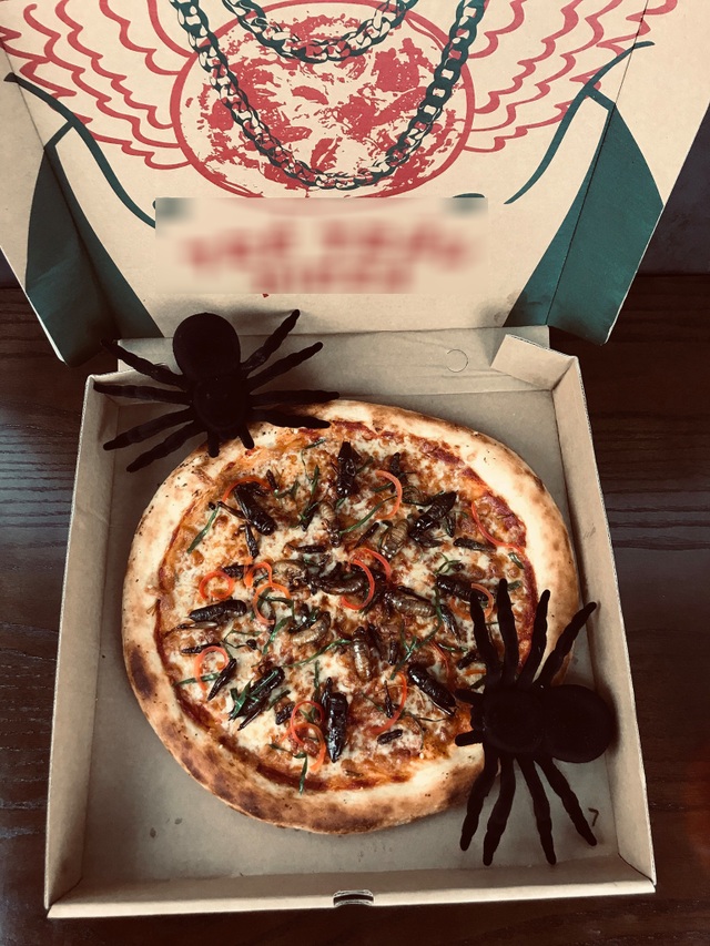 Toát mồ hôi nếm thử pizza lúc nhúc côn trùng ở Hà Nội - 4 Toát mồ hôi nếm thử pizza lúc nhúc côn trùng ở Hà Nội - 4
