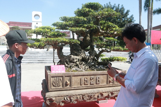 “Siêu cây” của nông dân Thái Bình được trả 10 tỷ đồng vẫn lắc đầu không bán - 2 “Siêu cây” của nông dân Thái Bình được trả 10 tỷ đồng vẫn lắc đầu không bán - 2
