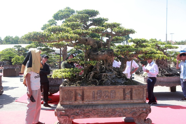 “Siêu cây” của nông dân Thái Bình được trả 10 tỷ đồng vẫn lắc đầu không bán - 4 “Siêu cây” của nông dân Thái Bình được trả 10 tỷ đồng vẫn lắc đầu không bán - 4
