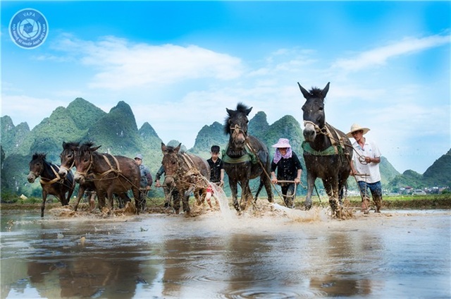 Vẻ đẹp đất và người vùng Tây bắc qua cuộc thi ảnh nghệ thuật - 14 Vẻ đẹp đất và người vùng Tây bắc qua cuộc thi ảnh nghệ thuật - 14