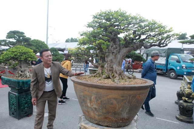 Chiêm ngưỡng cây mai chiếu thủy đoạt giải vàng có giá hơn 1 tỷ đồng - 7 Chiêm ngưỡng cây mai chiếu thủy đoạt giải vàng có giá hơn 1 tỷ đồng - 7
