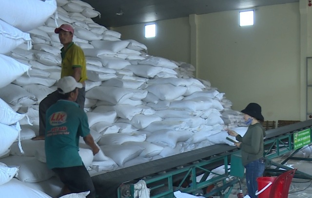 Phân bổ 2.500 tấn gạo hỗ trợ người dân vùng lũ - 1