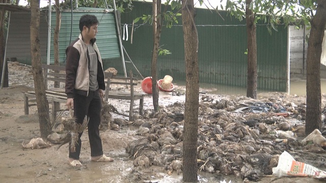 Nhiều “tỷ phú” trắng tay sau một đêm lũ dữ - 1 Nhiều “tỷ phú” trắng tay sau một đêm lũ dữ - 1