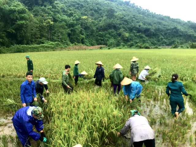 5.000 thanh niên ra quân nước rút đến đâu, dọn sạch đến đó - 10