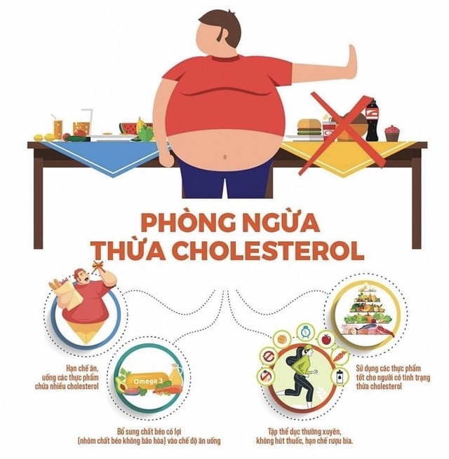 Tình trạng thừa cholesterol trong máu và hệ lụy đến sức khỏe - 2