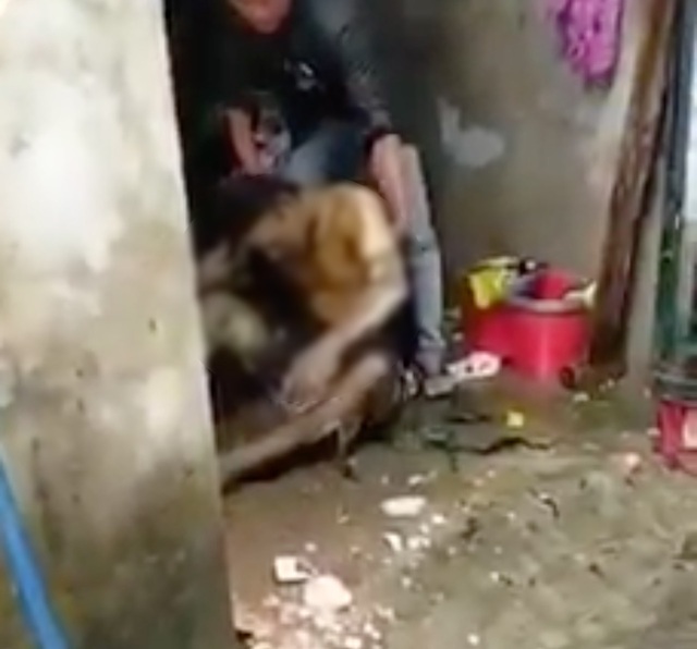Đôi vợ chồng chết cháy trong căn nhà khoá trái, bỏ lại 3 đứa con thơ - 1 Đôi vợ chồng chết cháy trong căn nhà khoá trái, bỏ lại 3 đứa con thơ - 1