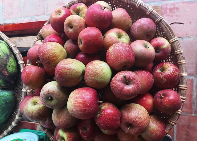 Táo đá Hà Giang giá siêu rẻ, dân buôn vén màn sự thật gây sốc - 3 Táo đá Hà Giang giá siêu rẻ, dân buôn vén màn sự thật gây sốc - 3