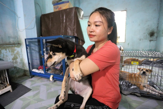 Người “mẹ” của những chú chó, mèo hoang ở Đà Nẵng - 7 Người “mẹ” của những chú chó, mèo hoang ở Đà Nẵng - 7