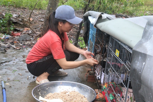 Người “mẹ” của những chú chó, mèo hoang ở Đà Nẵng - 2 Người “mẹ” của những chú chó, mèo hoang ở Đà Nẵng - 2