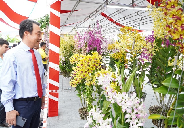 Hàng ngàn chậu lan khoe sắc tại hội thi hoa lan toàn quốc năm 2020 - 2 Hàng ngàn chậu lan khoe sắc tại hội thi hoa lan toàn quốc năm 2020 - 2